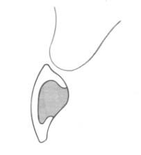 Ilustracja do pytania 263