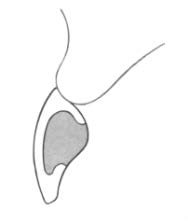 Ilustracja do pytania 263