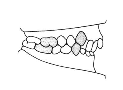 Ilustracja do pytania 381
