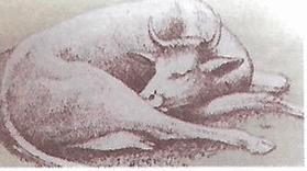 Ilustracja do pytania 56