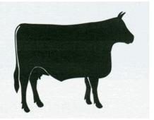 Ilustracja do pytania 663
