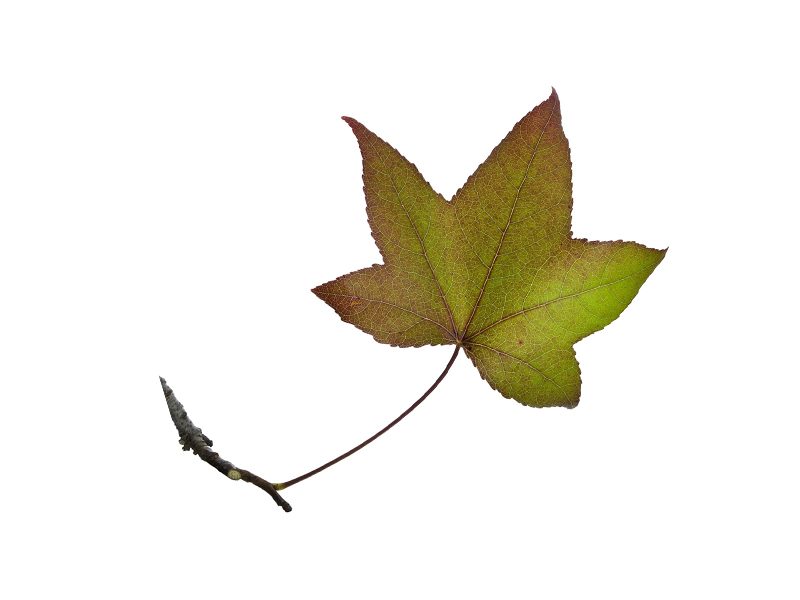 Ilustracja do pytania 1034