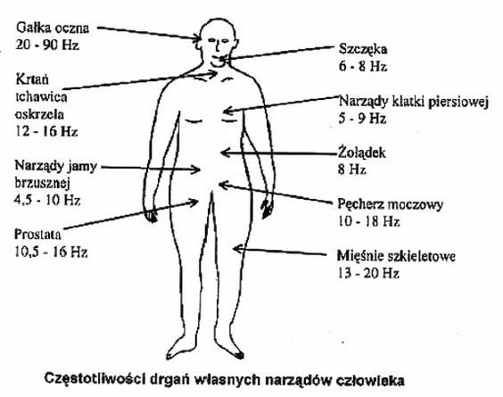 Ilustracja do pytania 344