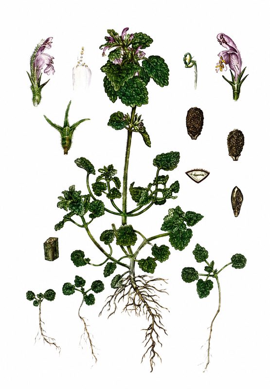 Ilustracja do pytania 214