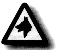 Ilustracja do pytania 862