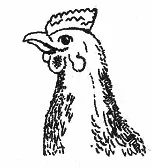 Ilustracja do pytania 302