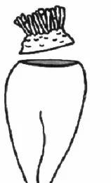 Ilustracja do pytania 1200