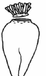 Ilustracja do pytania 1200