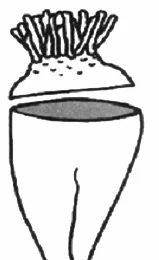 Ilustracja do pytania 1200