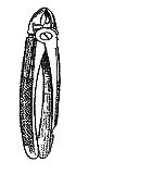 Ilustracja do pytania 135
