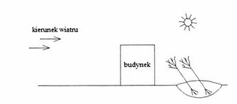 Ilustracja do pytania 450