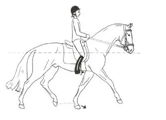 Ilustracja do pytania 194
