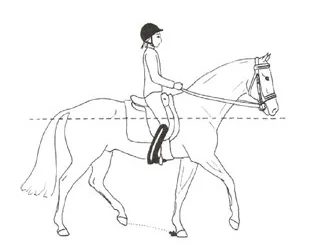 Ilustracja do pytania 194