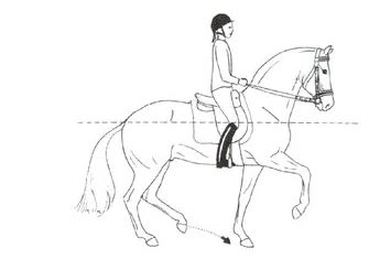 Ilustracja do pytania 194