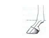 Ilustracja do pytania 329
