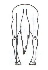 Ilustracja do pytania 200