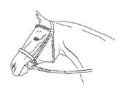 Ilustracja do pytania 190