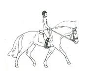Ilustracja do pytania 4