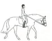 Ilustracja do pytania 4