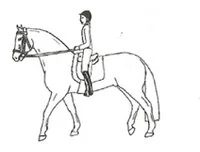 Ilustracja do pytania 246