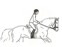 Ilustracja do pytania 246
