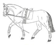 Ilustracja do pytania 260