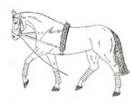 Ilustracja do pytania 260
