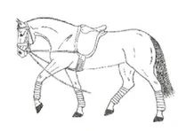 Ilustracja do pytania 260