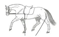 Ilustracja do pytania 260