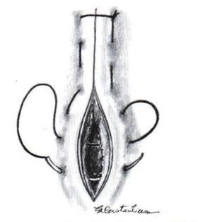Ilustracja do pytania 559