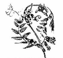 Ilustracja do pytania 1071