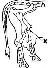 Ilustracja do pytania 126