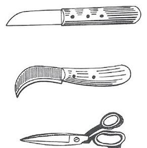 Ilustracja do pytania 125
