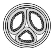 Ilustracja do pytania 149